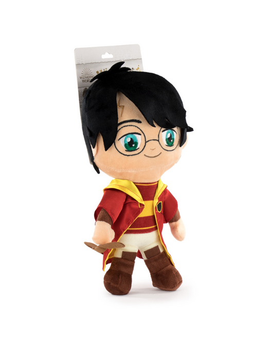 HARRY POTTER: Harry Potter v Quidditch opremi